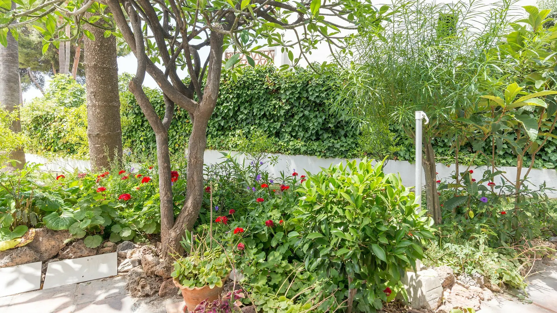 Villa Miraflores Del Palo Malaga 0*,  Spain